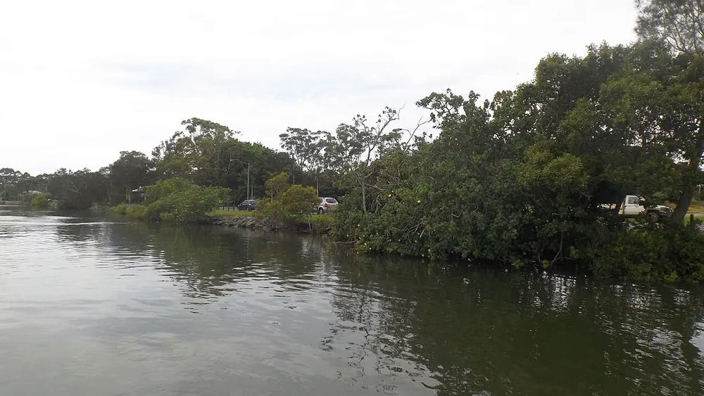 The southern bank of the Tweed River at Chinderah