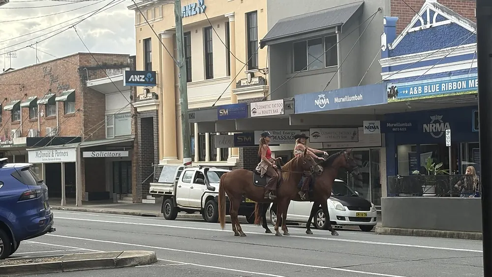 Horses being ridden down the main street of Murwillumbah
